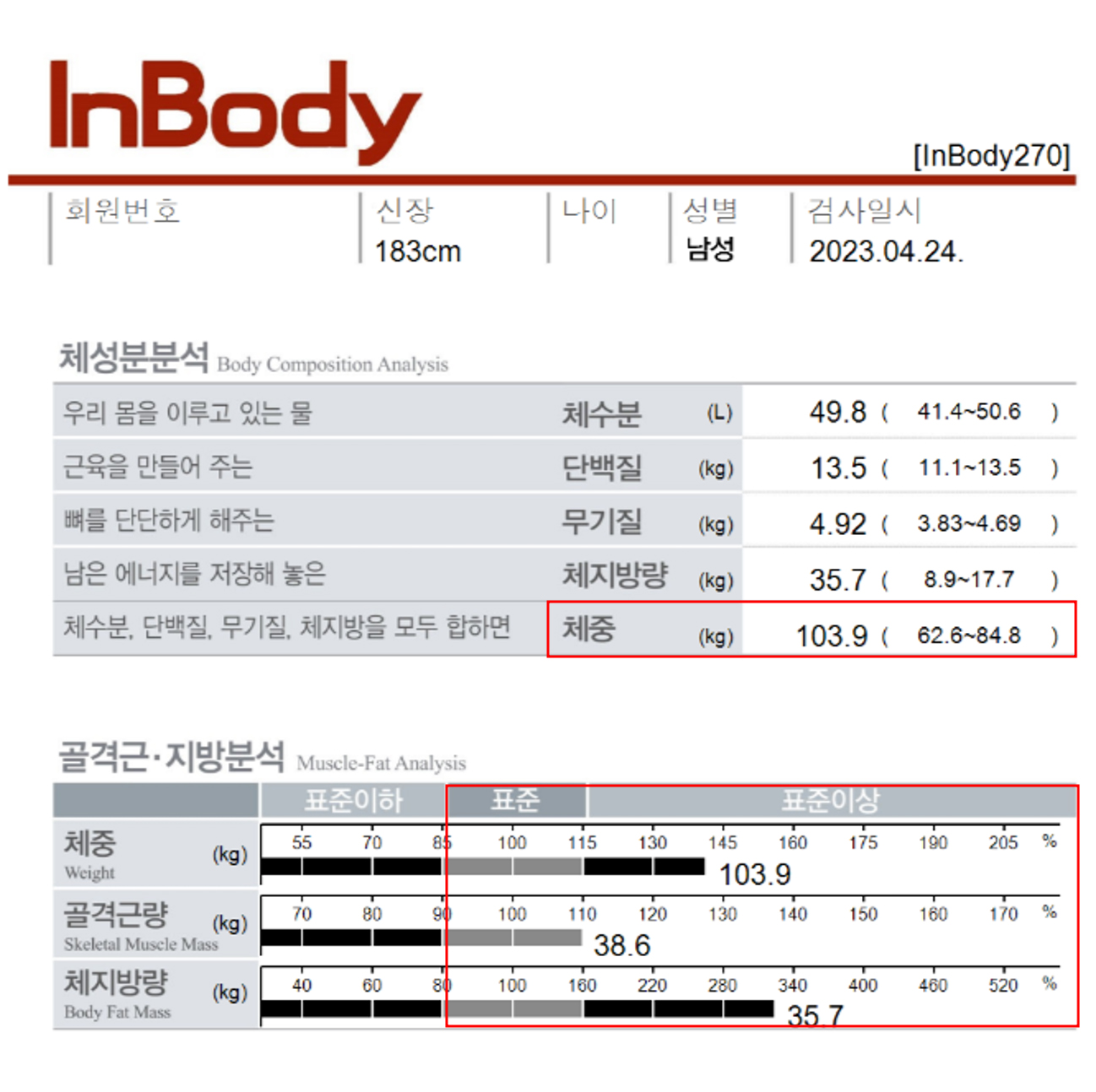 전후사진