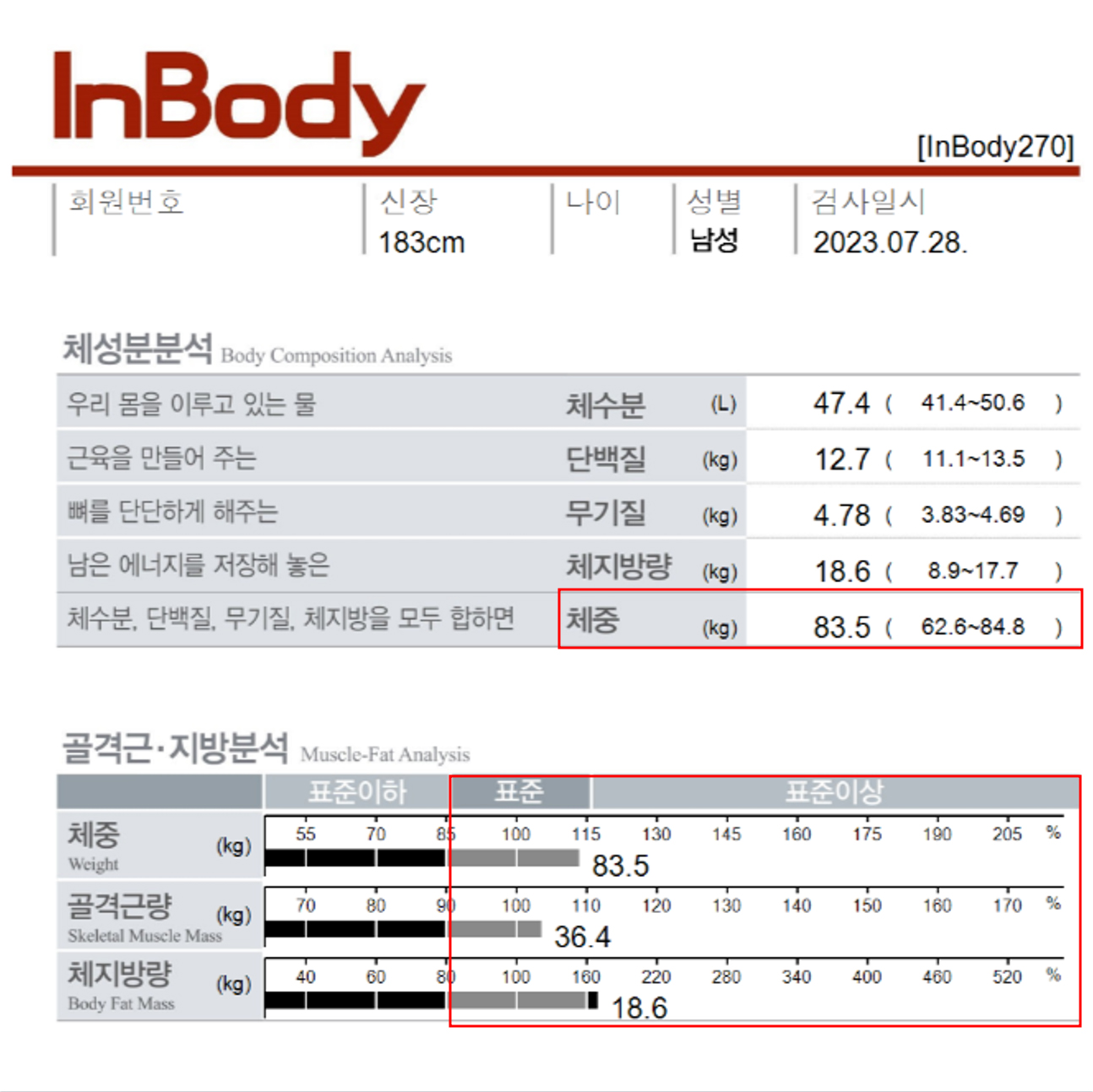 전후사진