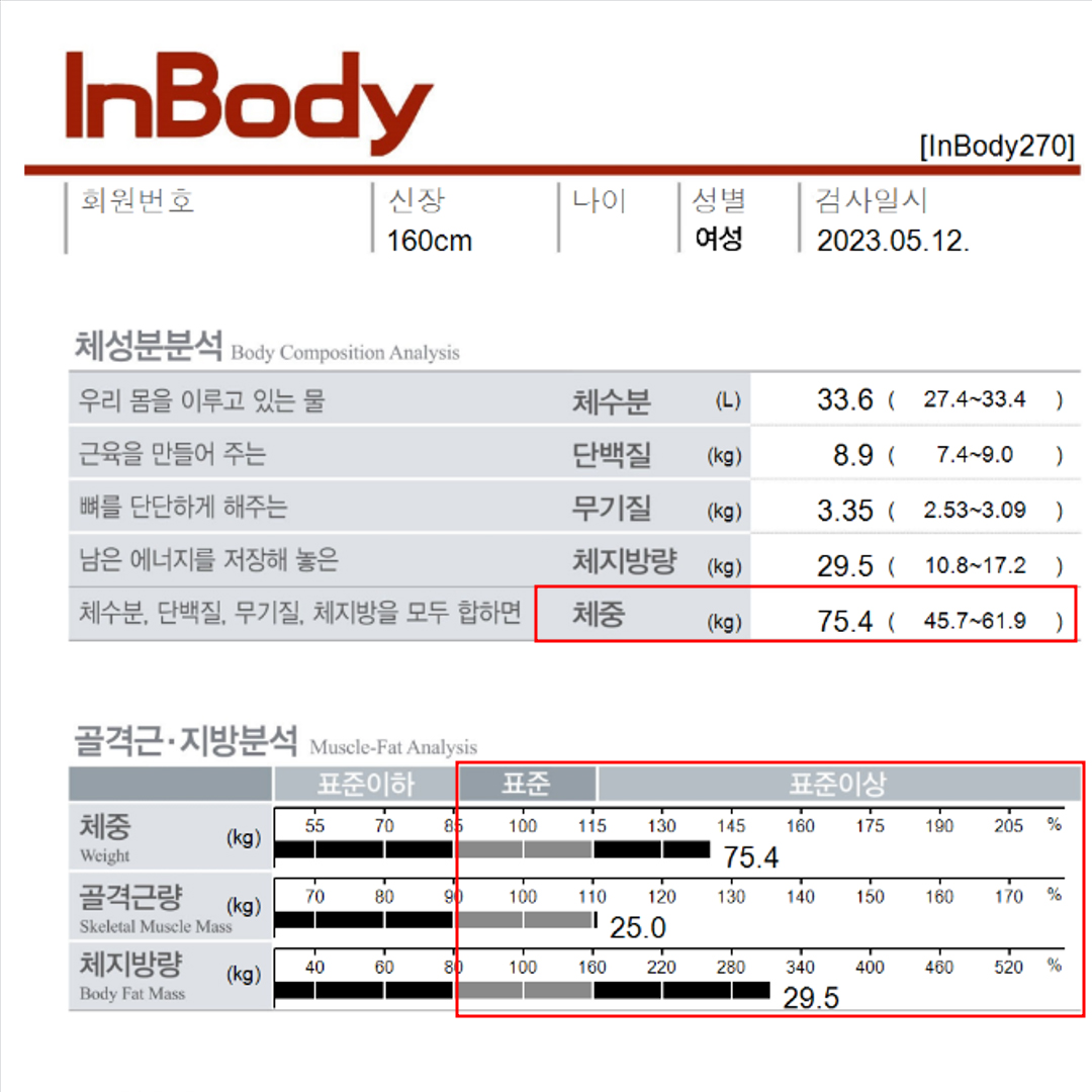 전후사진