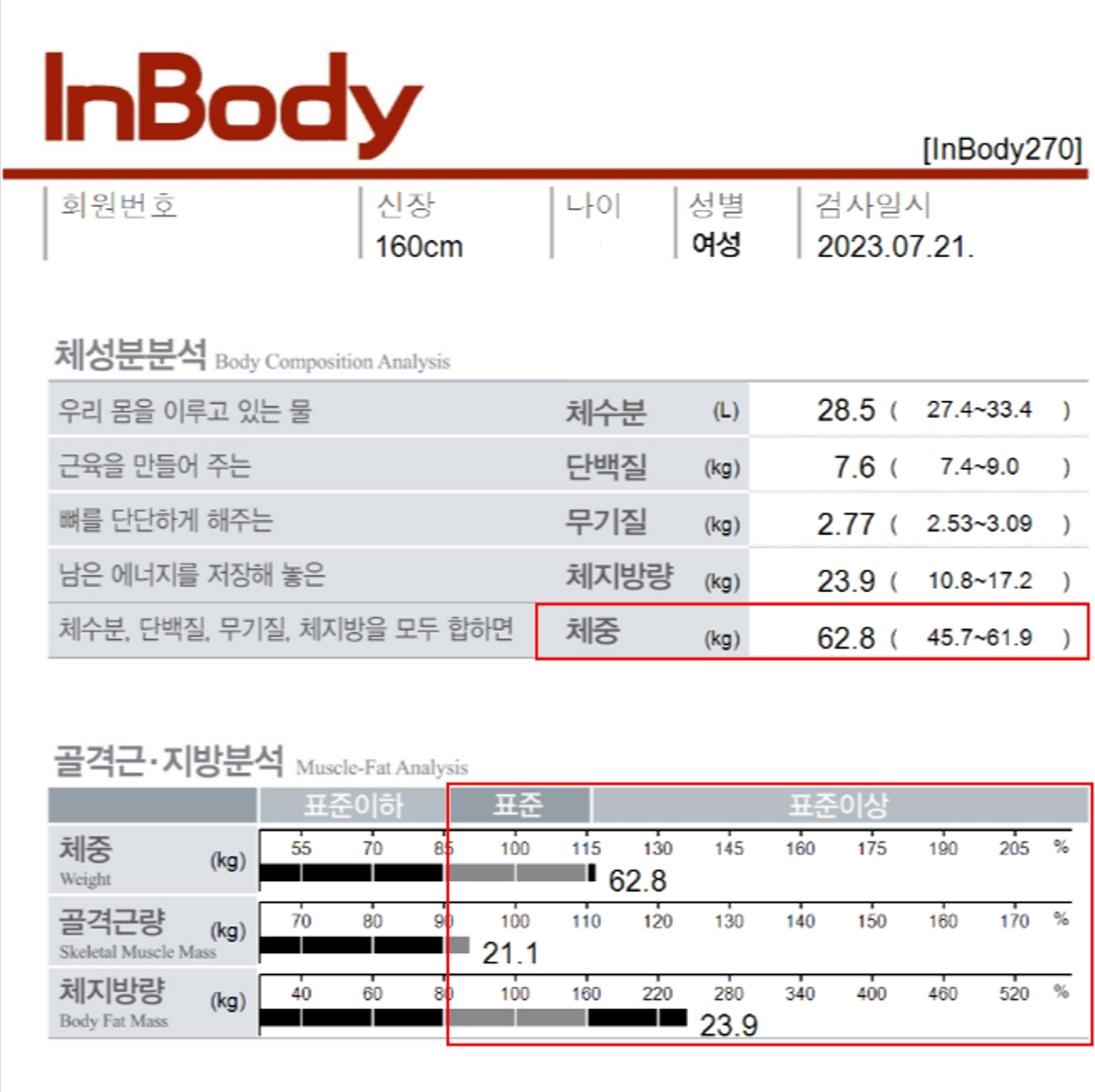 전후사진