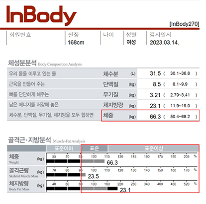 전후사진