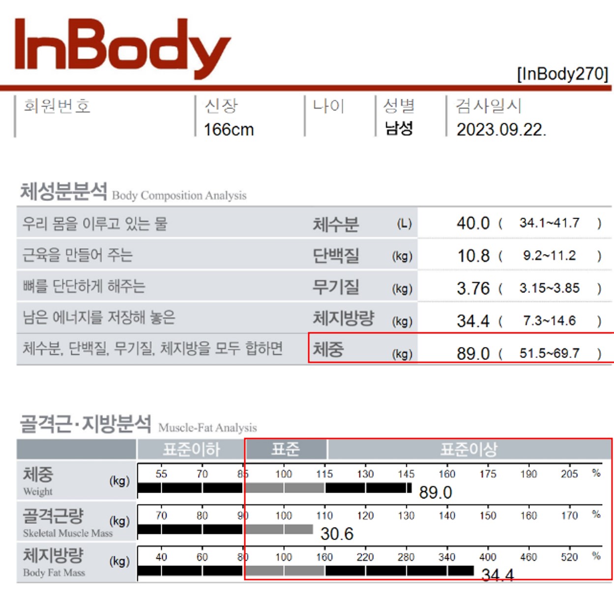 전후사진