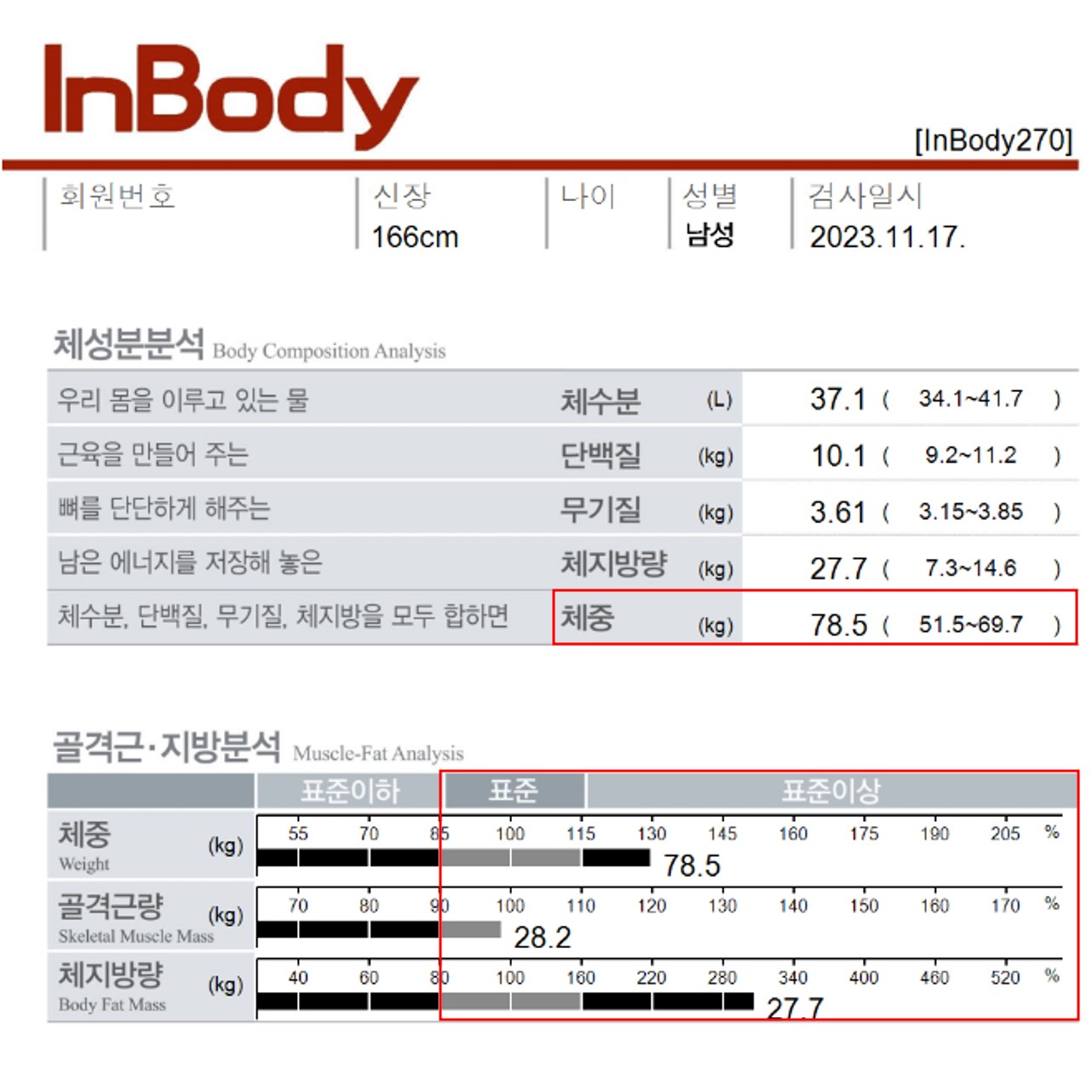 전후사진