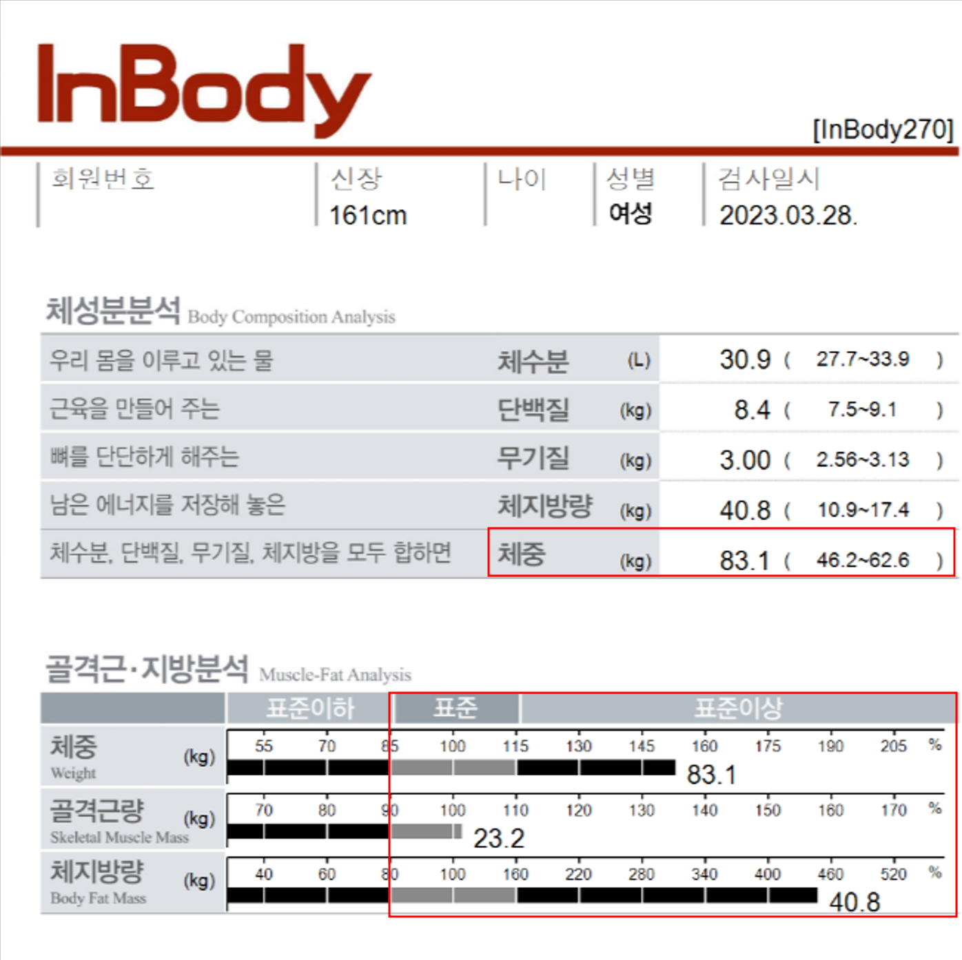 전후사진