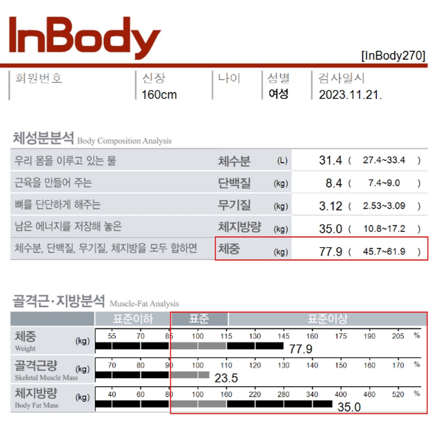 전후사진