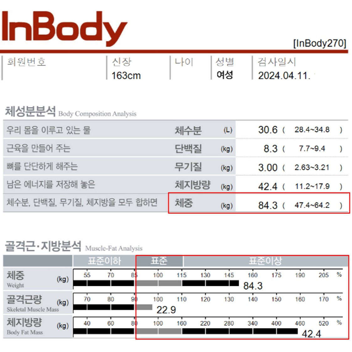 전후사진