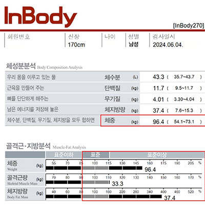 전후사진