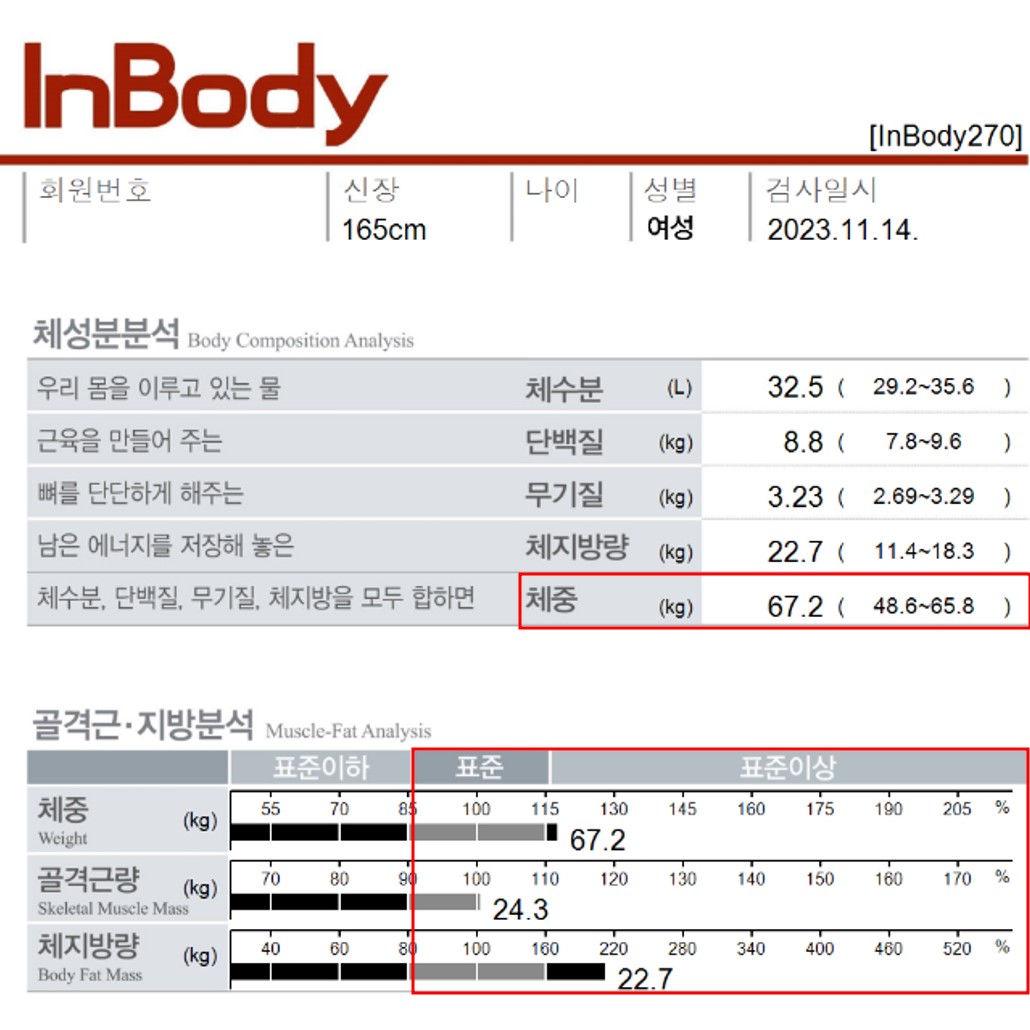 전후사진