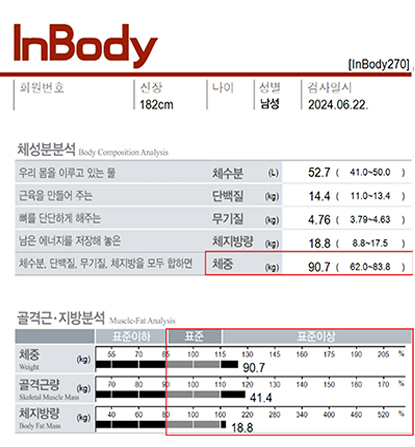 전후사진