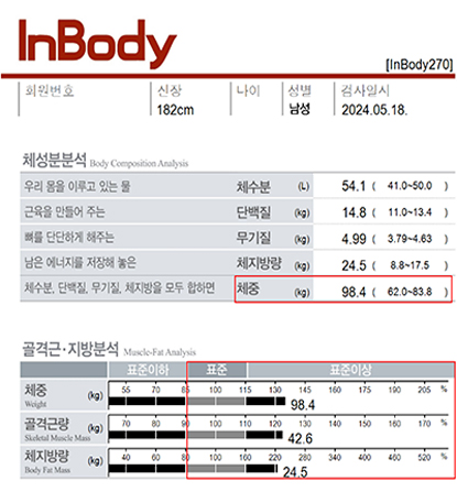 전후사진