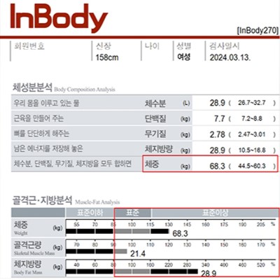 전후사진