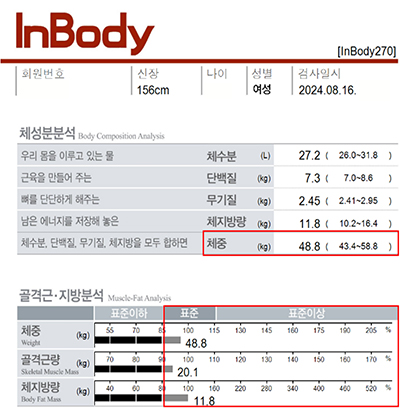 전후사진