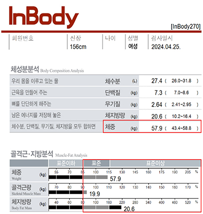 전후사진