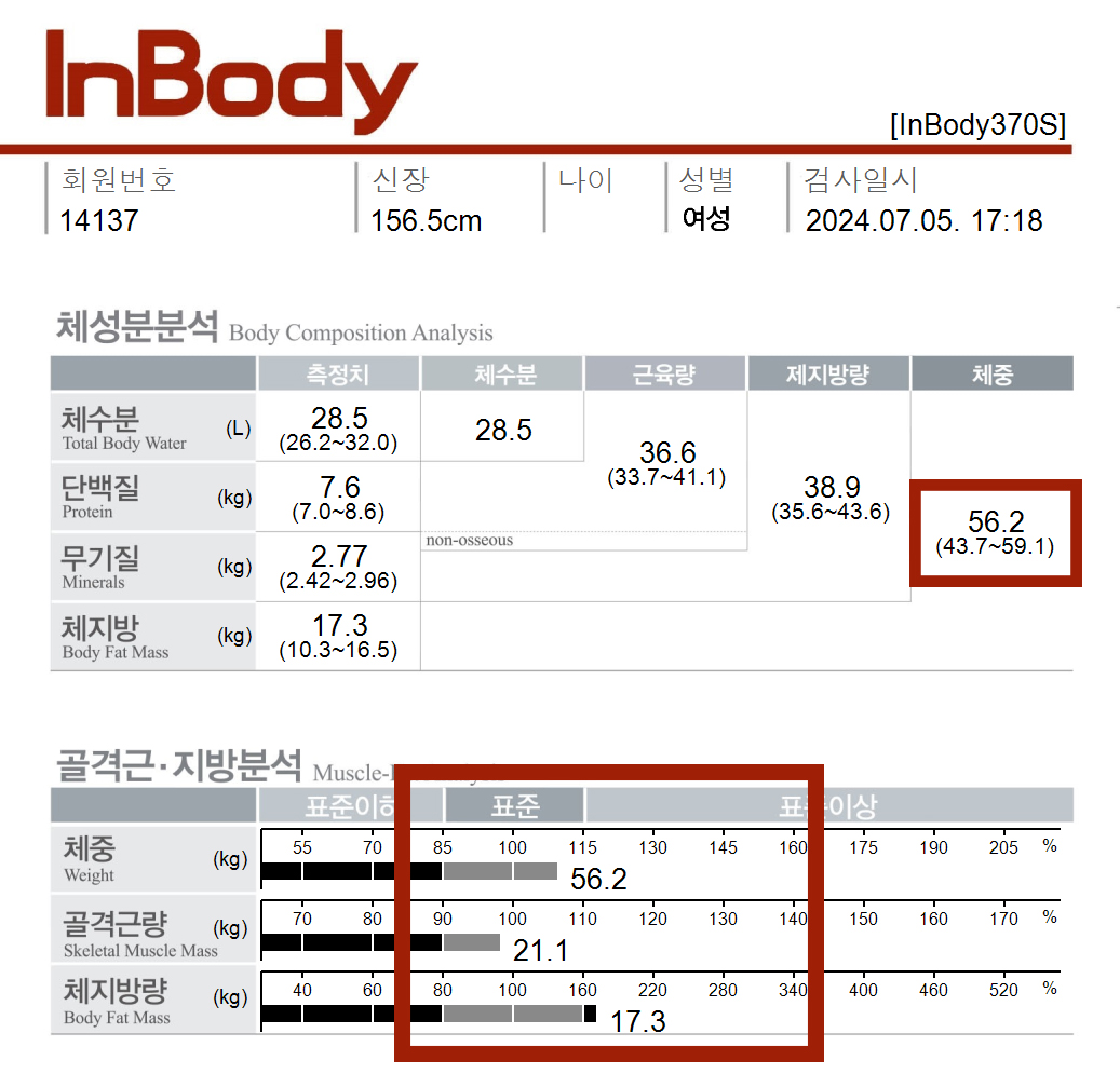 전후사진