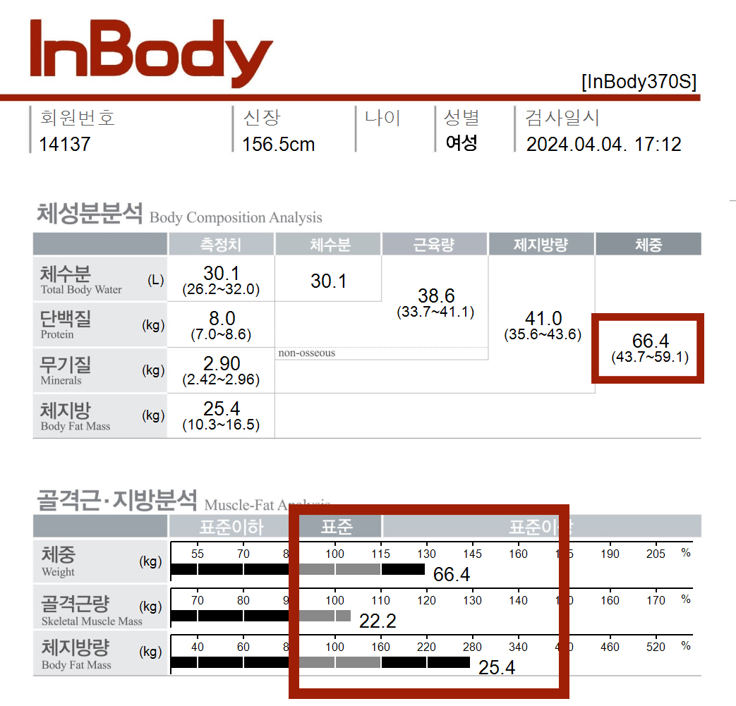 전후사진