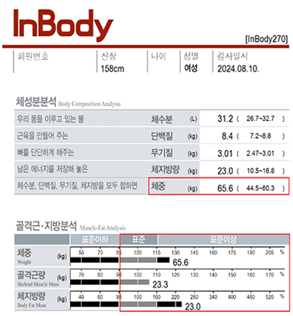 전후사진