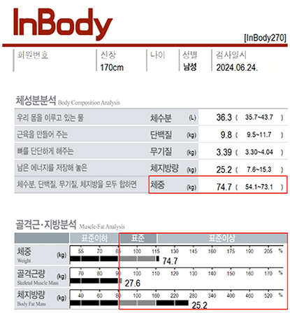 전후사진