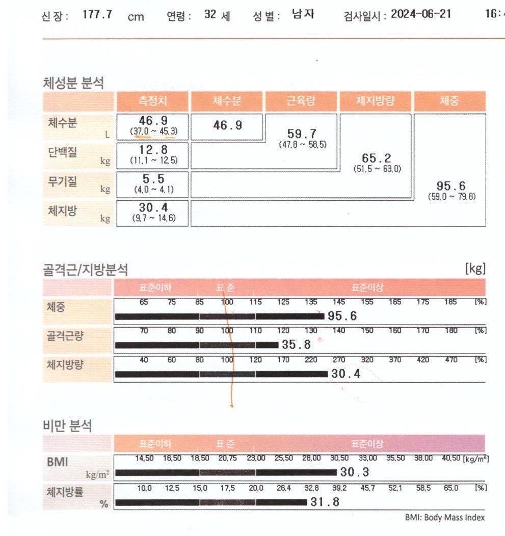 전후사진