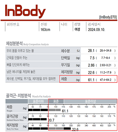 전후사진