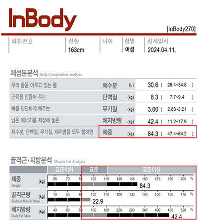 전후사진