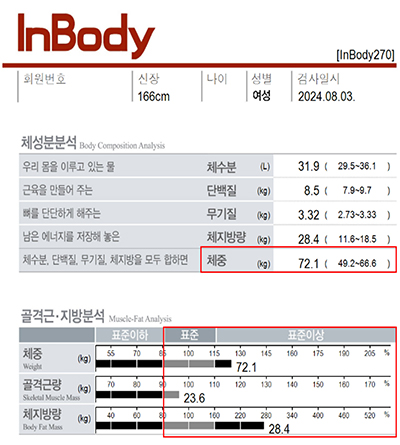 전후사진