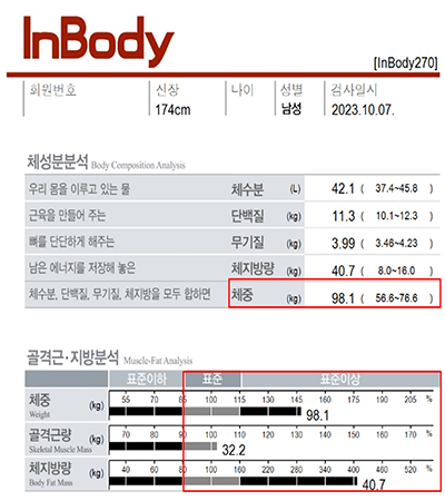 전후사진