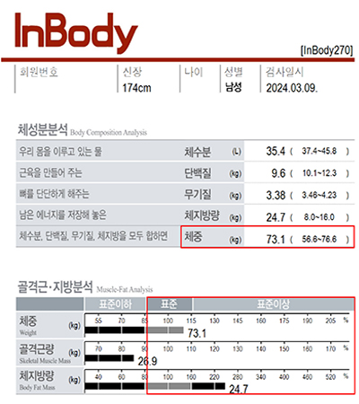 전후사진