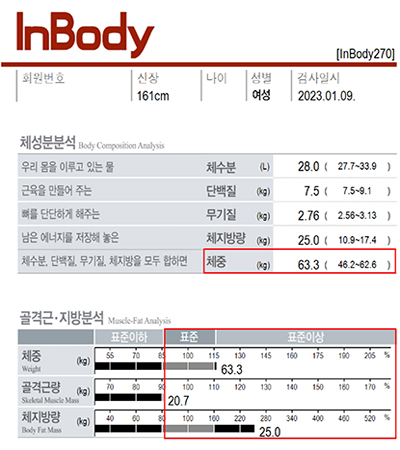 전후사진