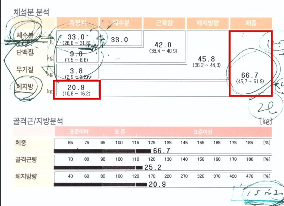 전후사진