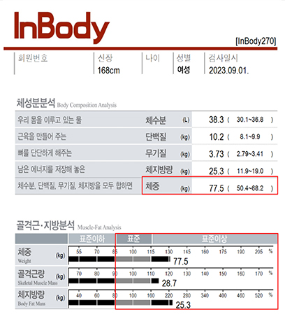 전후사진