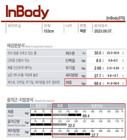 전후사진