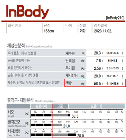 전후사진