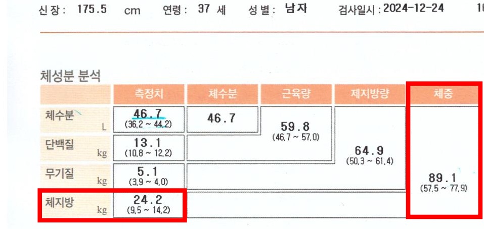 전후사진