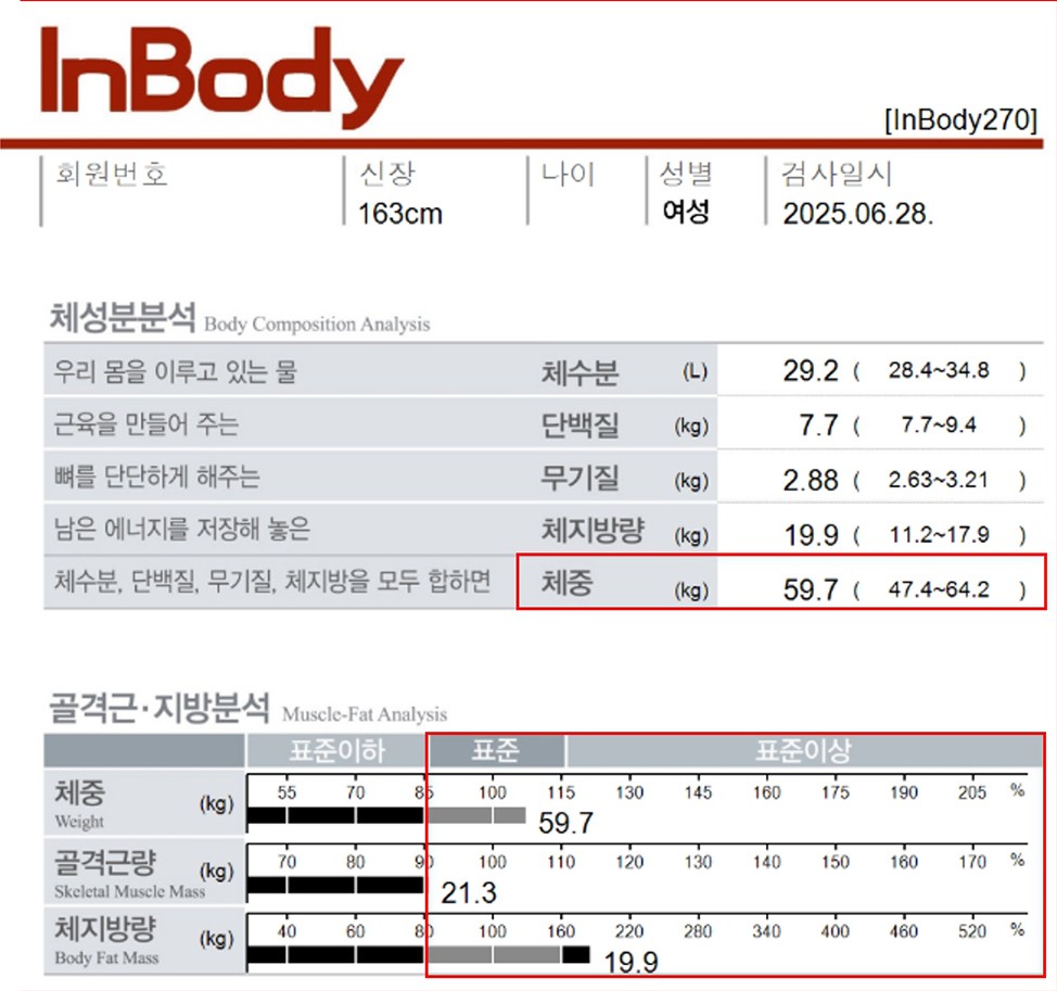 전후사진