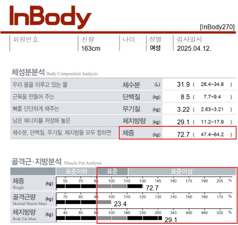 전후사진