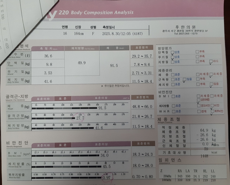 전후사진