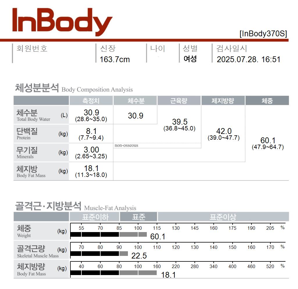 전후사진